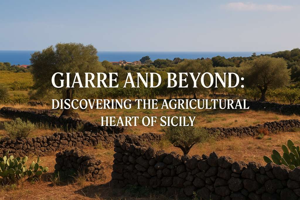 A panoramic rural landscape near Giarre, Sicily, showing olive trees, stone walls, and the Ionian Sea in the background under a clear sky